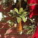 Palm Tree Cloisonné Christmas Ornament Enamel over Copper 4” Tall Hanging Palm