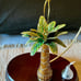 Palm Tree Cloisonné Christmas Ornament Enamel over Copper 4” Tall Hanging Palm