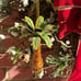 Palm Tree Cloisonné Christmas Ornament Enamel over Copper 4” Tall Hanging Palm