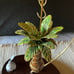 Palm Tree Cloisonné Christmas Ornament Enamel over Copper 4” Tall Hanging Palm