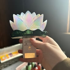 Bath and body works Tiana wall flower plug in new