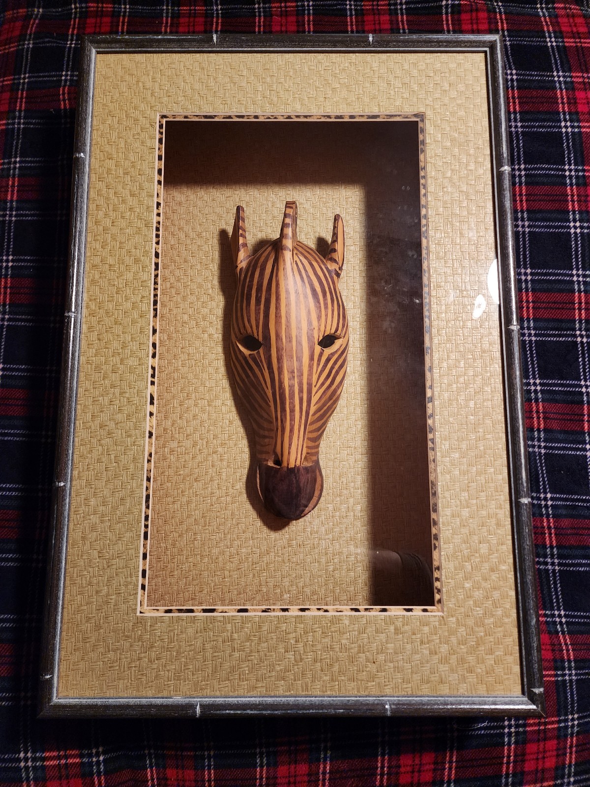 Zebra Mask Shadow Box!!