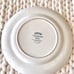 Blue and White Dinner Plates (4)