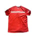 Greensboro Redwings Jersey Adult Large American Legion USA Flag Baseball Mens