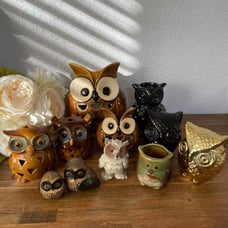 Owl Collection