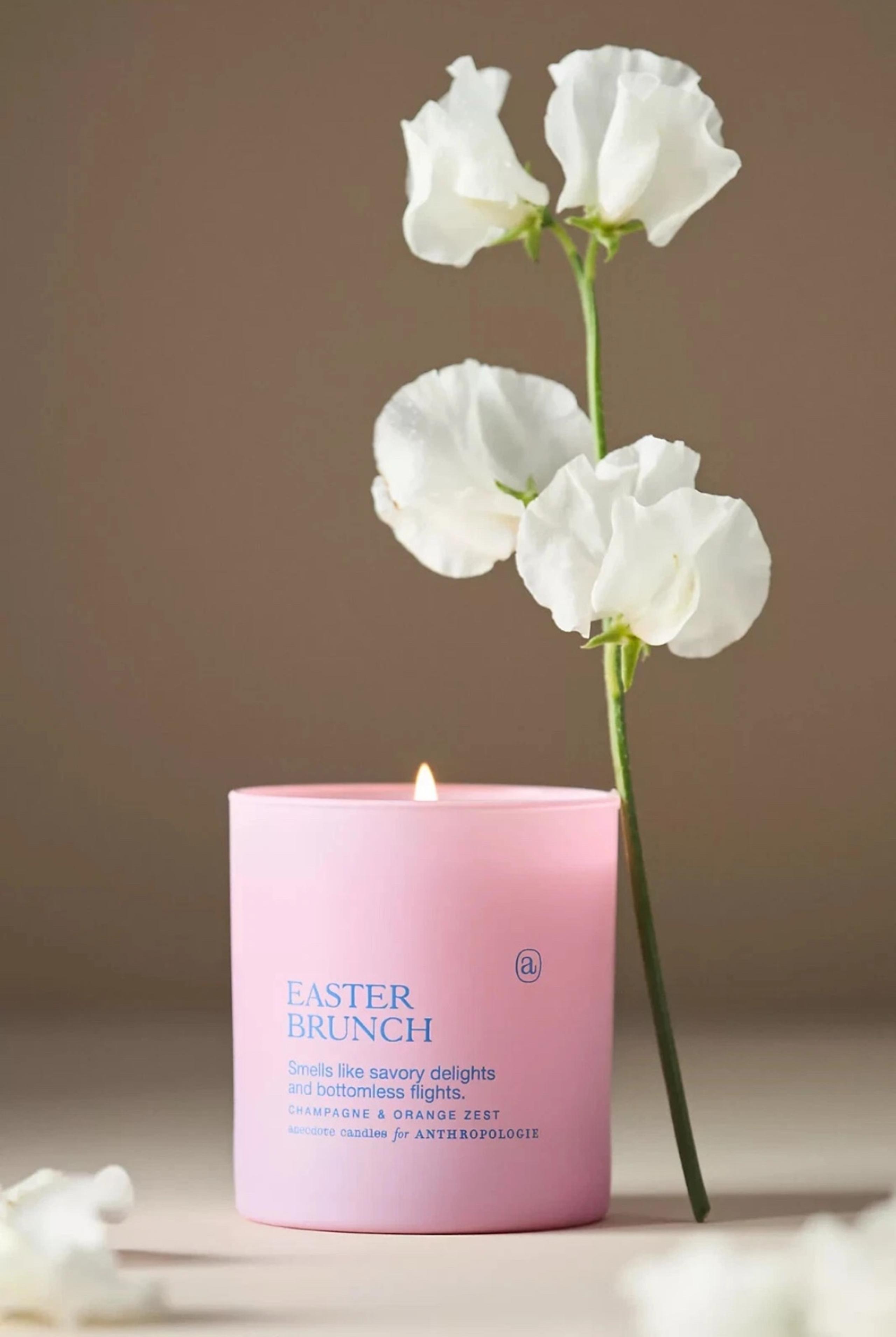 NEW Anthropologie Anecdote Easter Brunch Champagne & Orange Zest Glass Candle