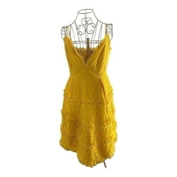 NBD Revolve Lynne lace plung dress