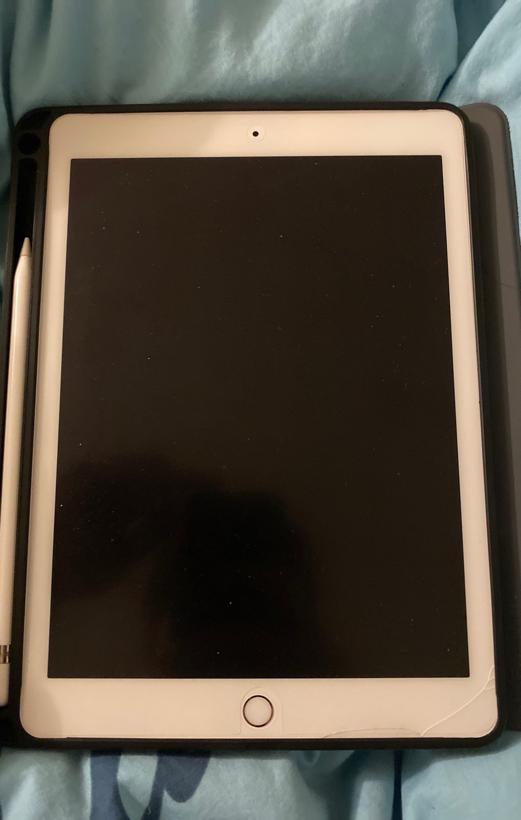 iPad Mini