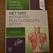 Netters integrated MSK system