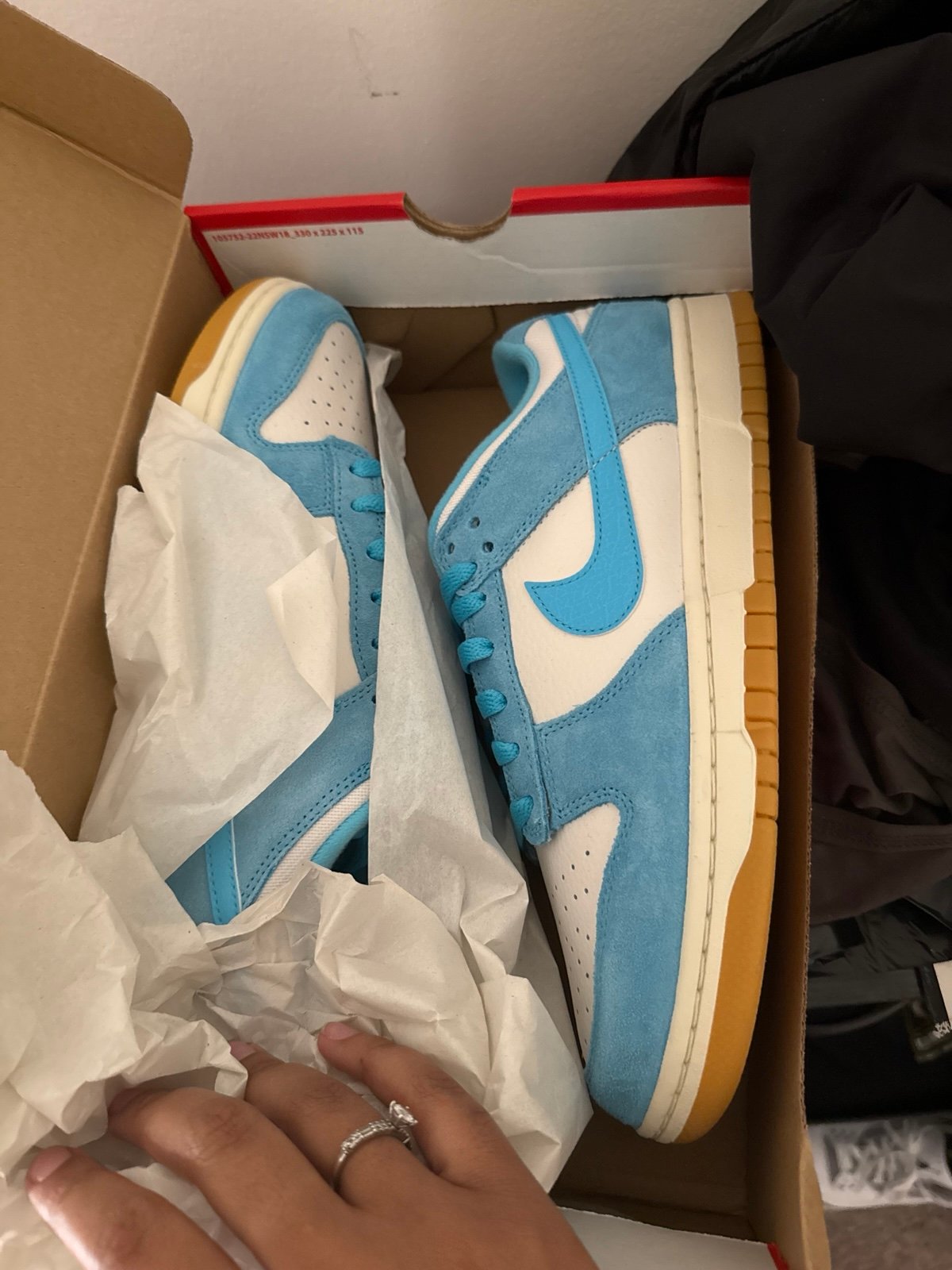 Nike Sb dunks blue/white