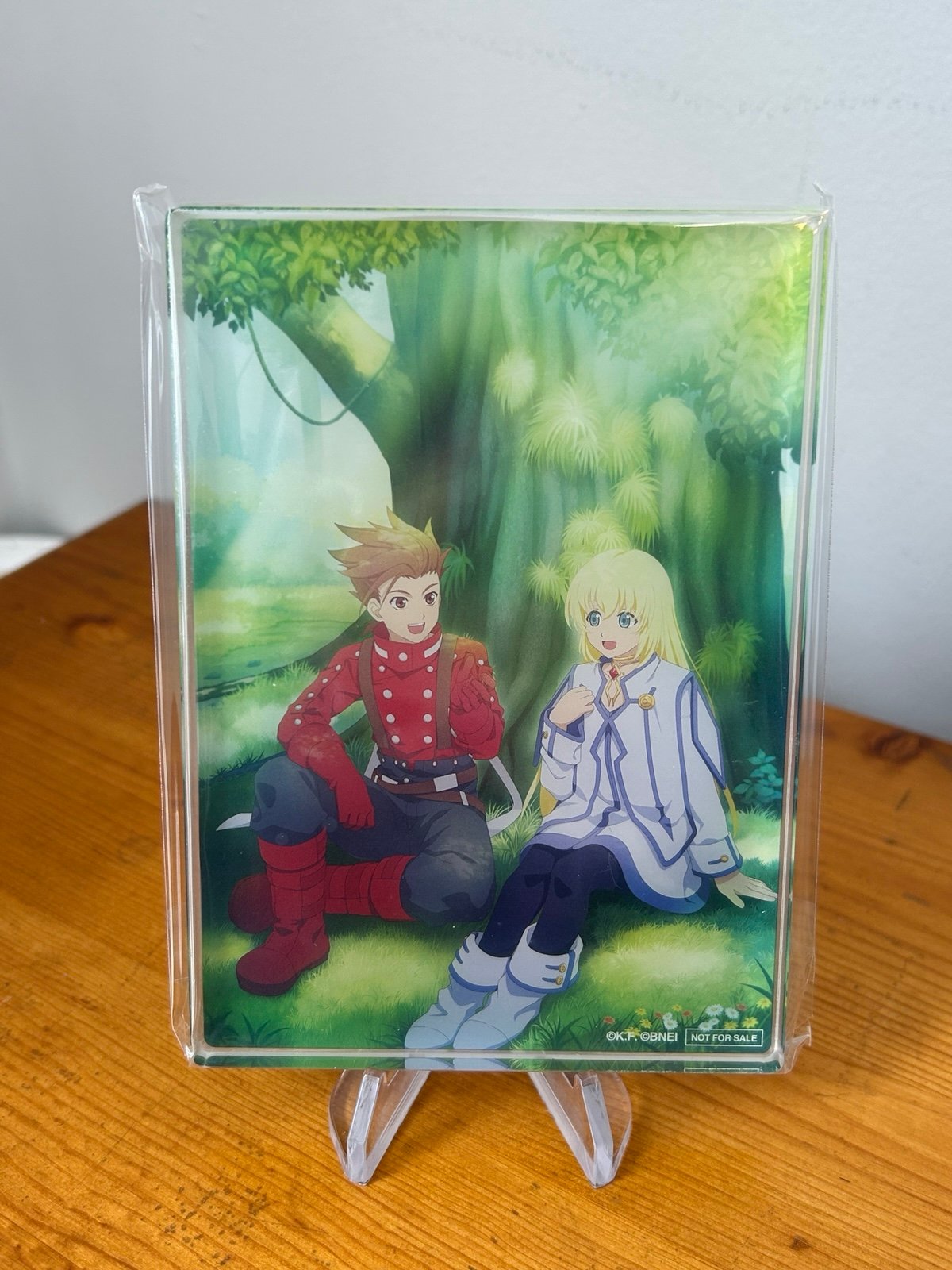 Tales of Symphonia 20th Anniversary Lloyd Colette Acrylic Block Art Illustration