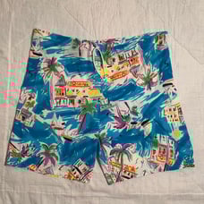 Rare, vintage swim trunks, 1950's, single stitch, made in USA