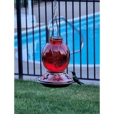 Hummingbird Feeder, 18016P Glass Hummingbird Feeder for Outdoors - Red