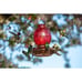 Hummingbird Feeder, 18016P Glass Hummingbird Feeder for Outdoors - Red