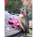 Hummingbird Feeder, 18016P Glass Hummingbird Feeder for Outdoors - Red