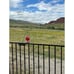 Hummingbird Feeder, 18016P Glass Hummingbird Feeder for Outdoors - Red