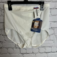 VTG Sears Firm Control Perfectly Fitting Natural Fit Panty Brief LARGE NOS