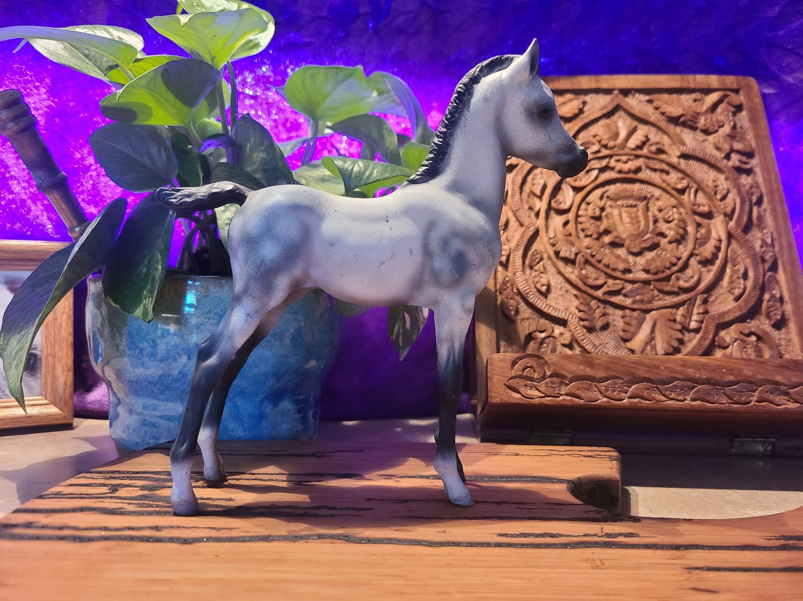 Breyer Traditional Custom Proud Arabian Foal standing model Horse Grey Gray