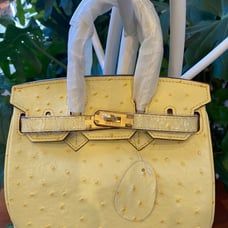 House of Hello Ostrich print cow leather mini 20cm crossbody handbag