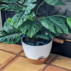 8 Inch Plant Pots Set of 2 Planters for Indoor Plants Self Watering Pots.
