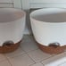 8 Inch Plant Pots Set of 2 Planters for Indoor Plants Self Watering Pots.