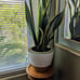 8 Inch Plant Pots Set of 2 Planters for Indoor Plants Self Watering Pots.
