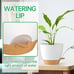 8 Inch Plant Pots Set of 2 Planters for Indoor Plants Self Watering Pots.