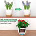 8 Inch Plant Pots Set of 2 Planters for Indoor Plants Self Watering Pots.