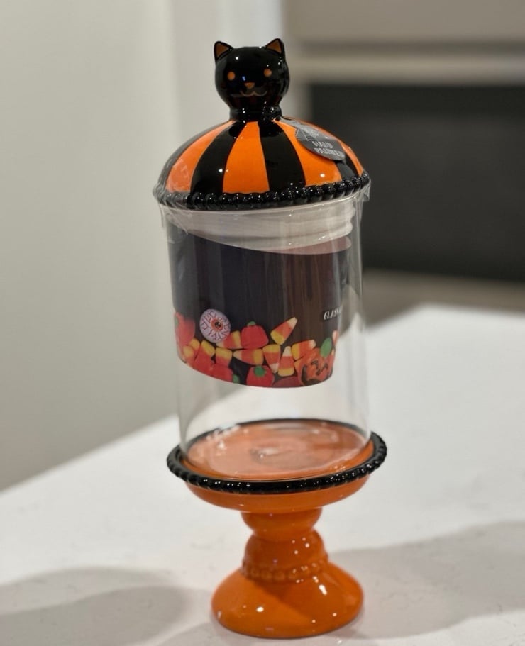 Cobwebs and Caldrons Halloween Orange Black Cat Glass Candy Jar