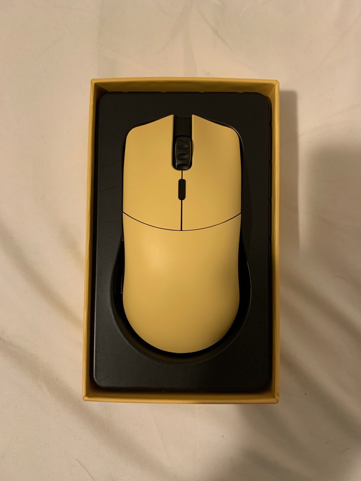 Glorious 2024 model o pro