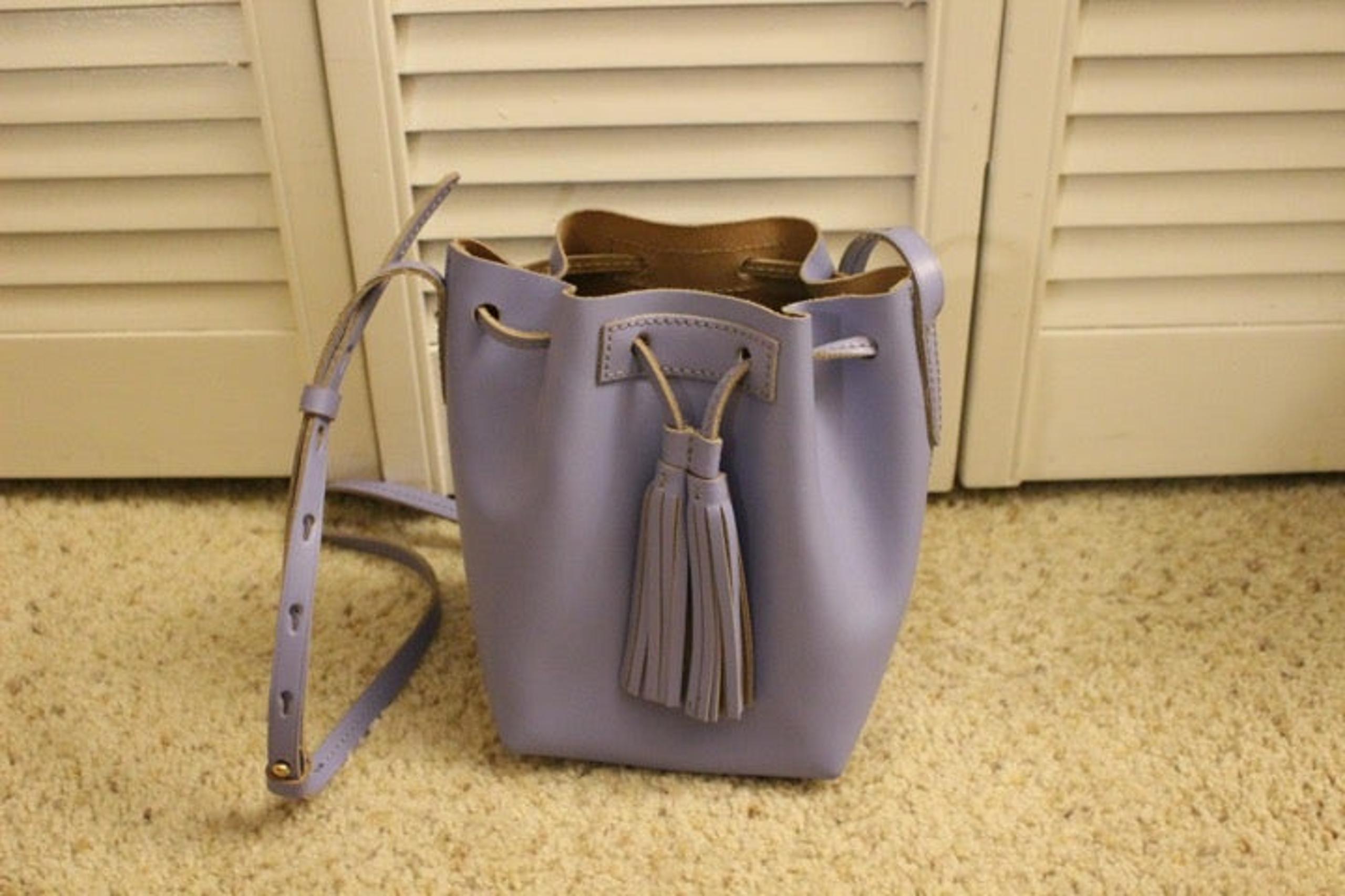 J.Crew Leather Mini Bucket Bag