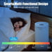 The large room air purifiers