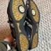 Coach sneakers