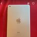 iPad Mini