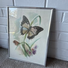 Vintage butterfly floral mcm print Framed