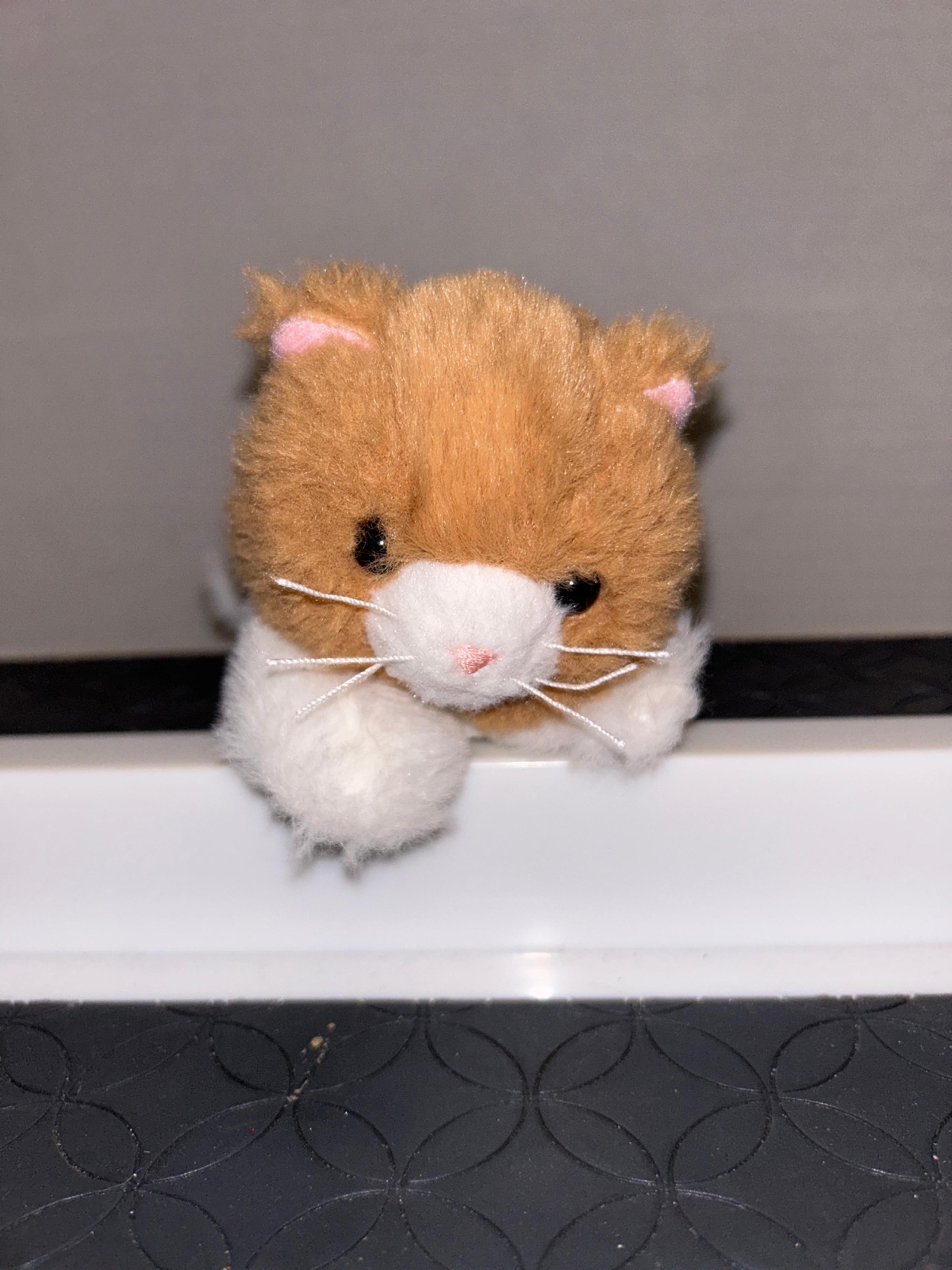 American Girl Doll KITTEN kitty cat Rebecca’s basement orange white