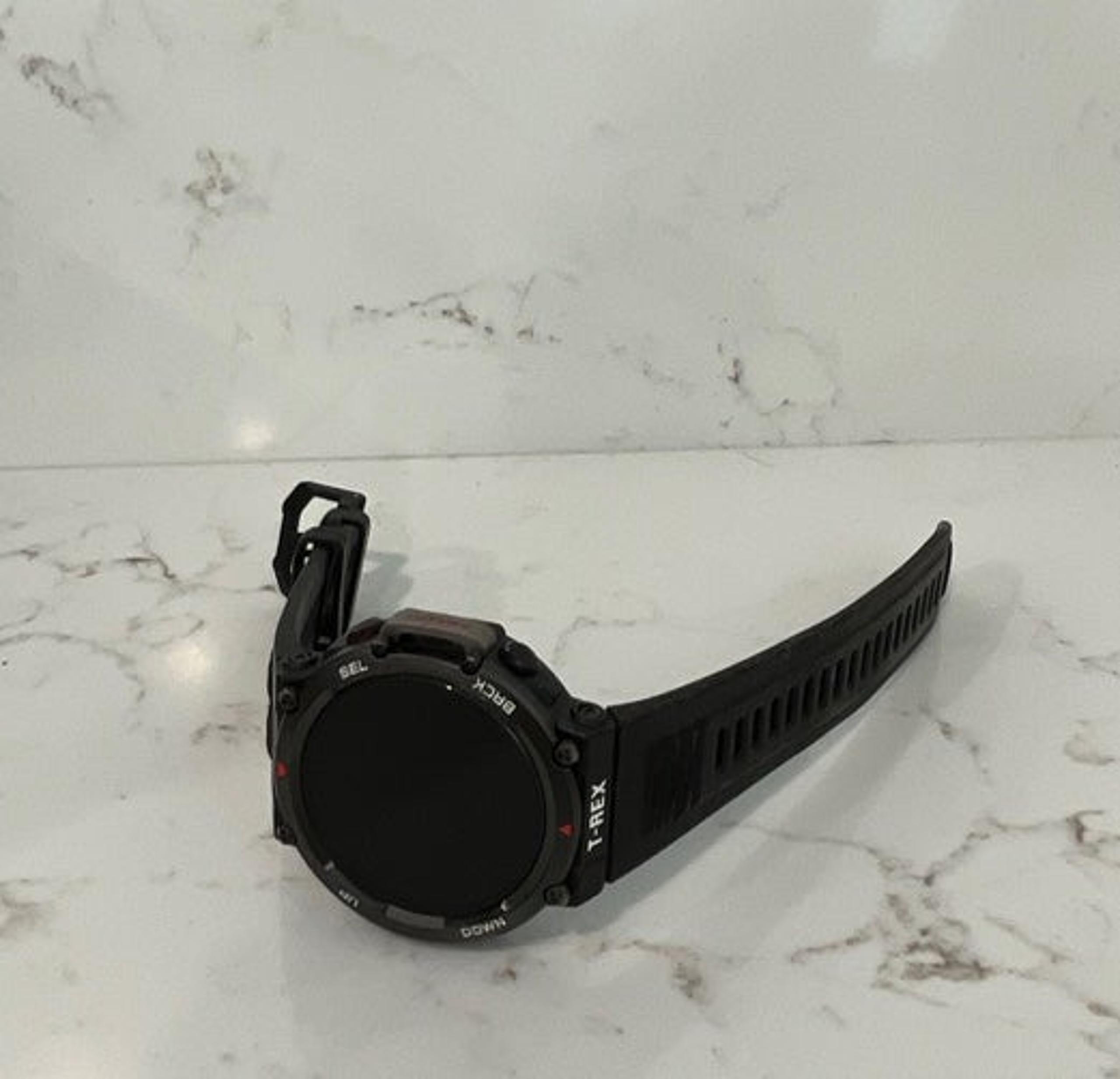 T-Rex watch