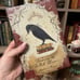 Owlcrate Wooing the Witch Queen