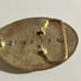 Grateful Dead STEAL YOUR FACE Stealie Gold Tone Belt Buckle 3.25x2.25