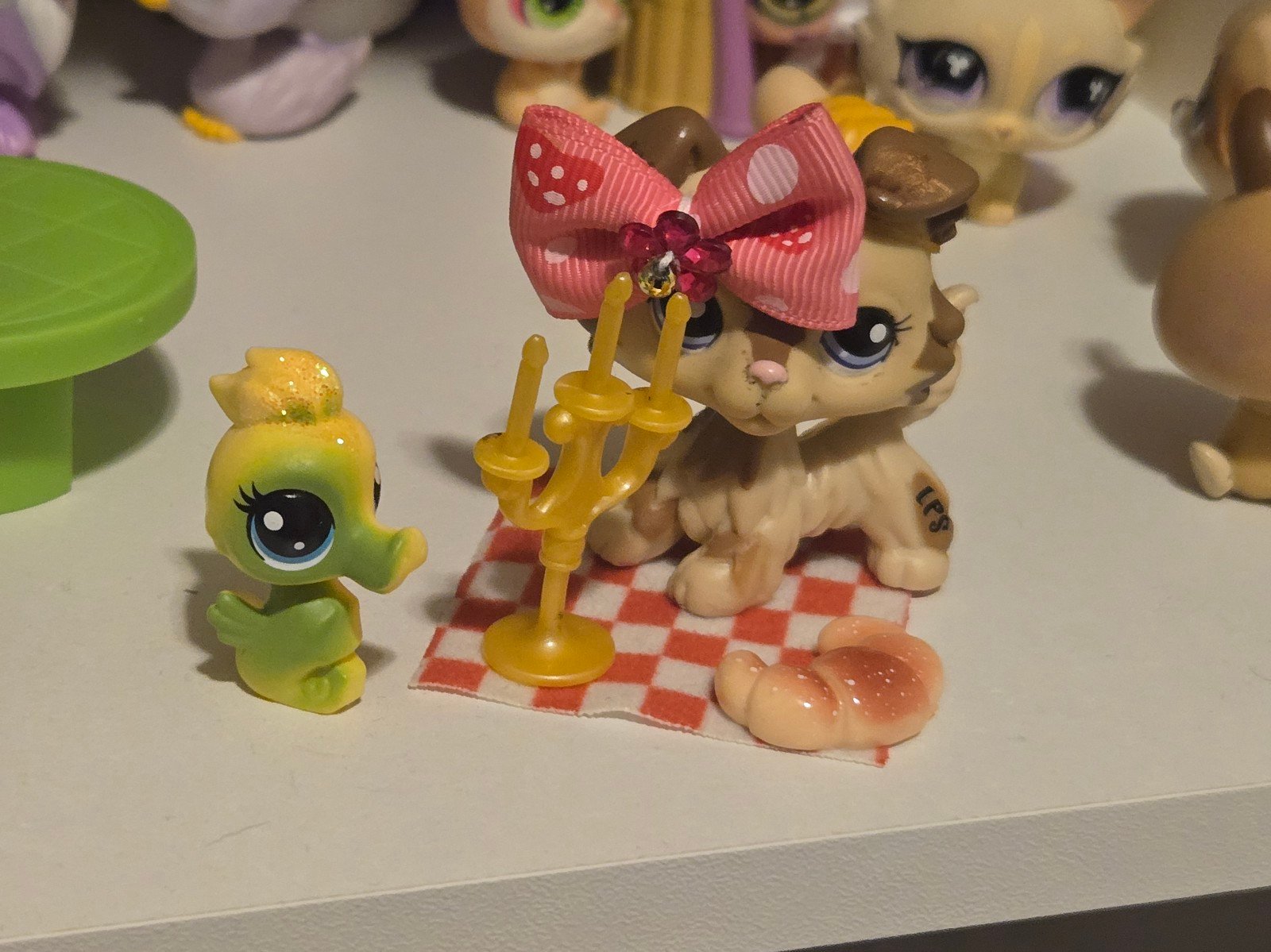 LPS collie #2210