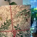 APRIL CORNELL Merry Antique 70” Tablecloth w/ Border Ivory Roses Holly NWT