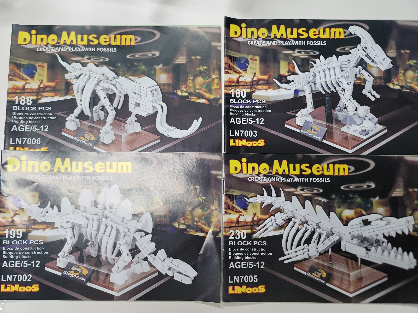 Fossil Building Block Lot