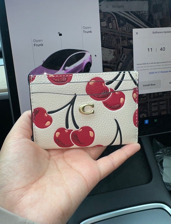 Coach cherry card case