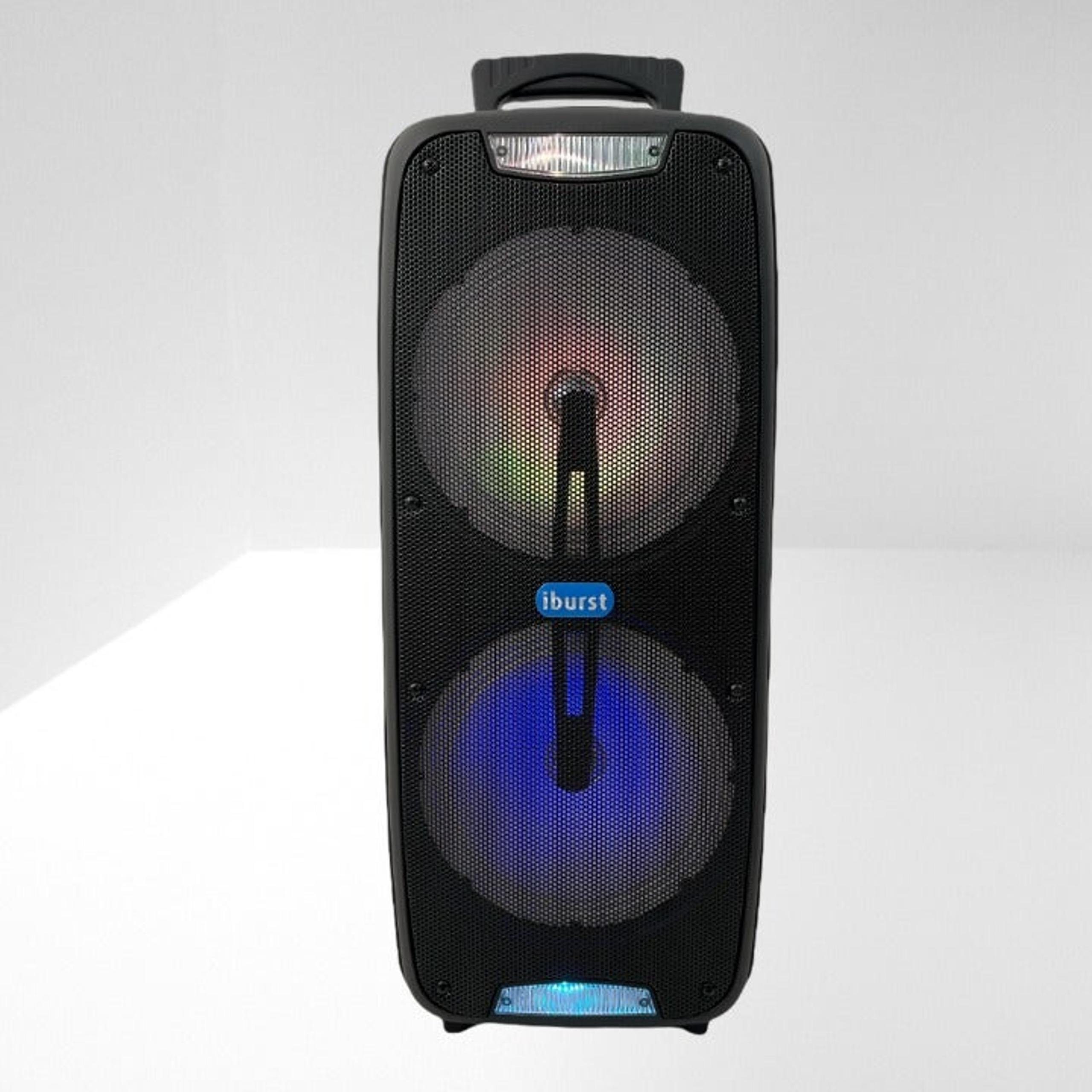 Double 8" 4600W Portable Bluetooth Speaker