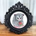 ORIGINAL Opossum watercolor art painting in miniature black ornate frame