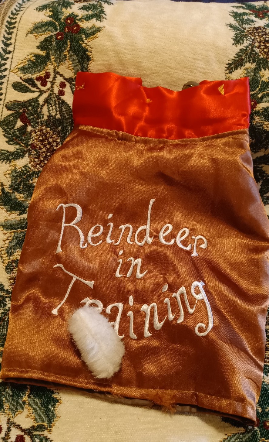 Pet Holiday Costume