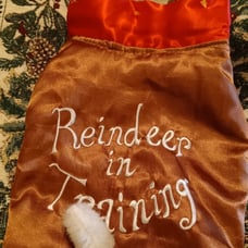 Pet Holiday Costume