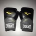 Everlast Boxing Gloves