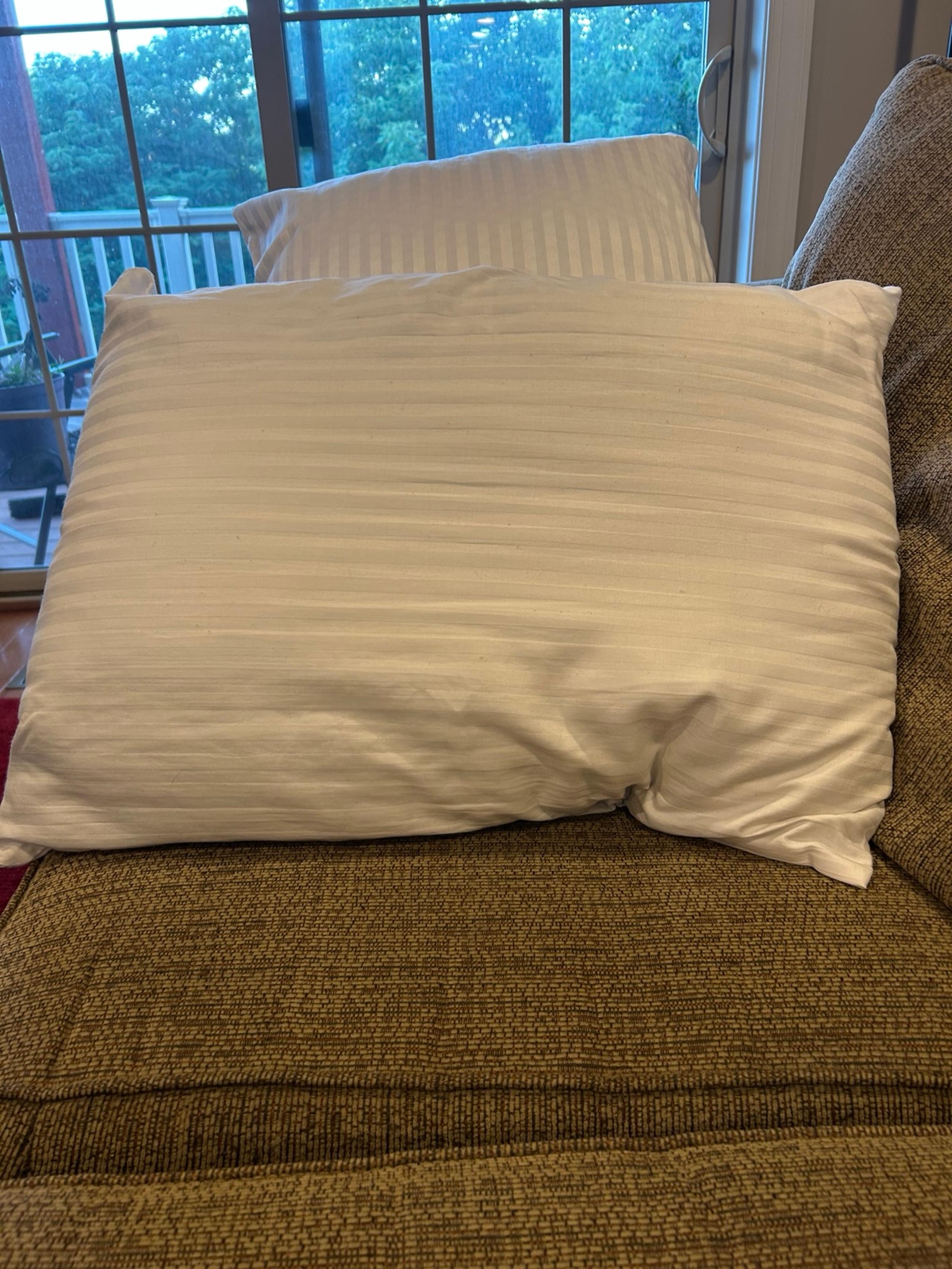 Bed Pillows