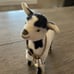 American Girl PC Josefina Goat Figurine